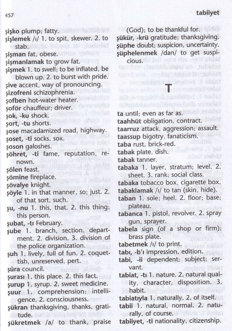 spanish dictionary page
